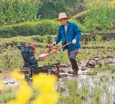 疫情防控的基本常识是什么？（疫情防控和春耕备耕两不误）